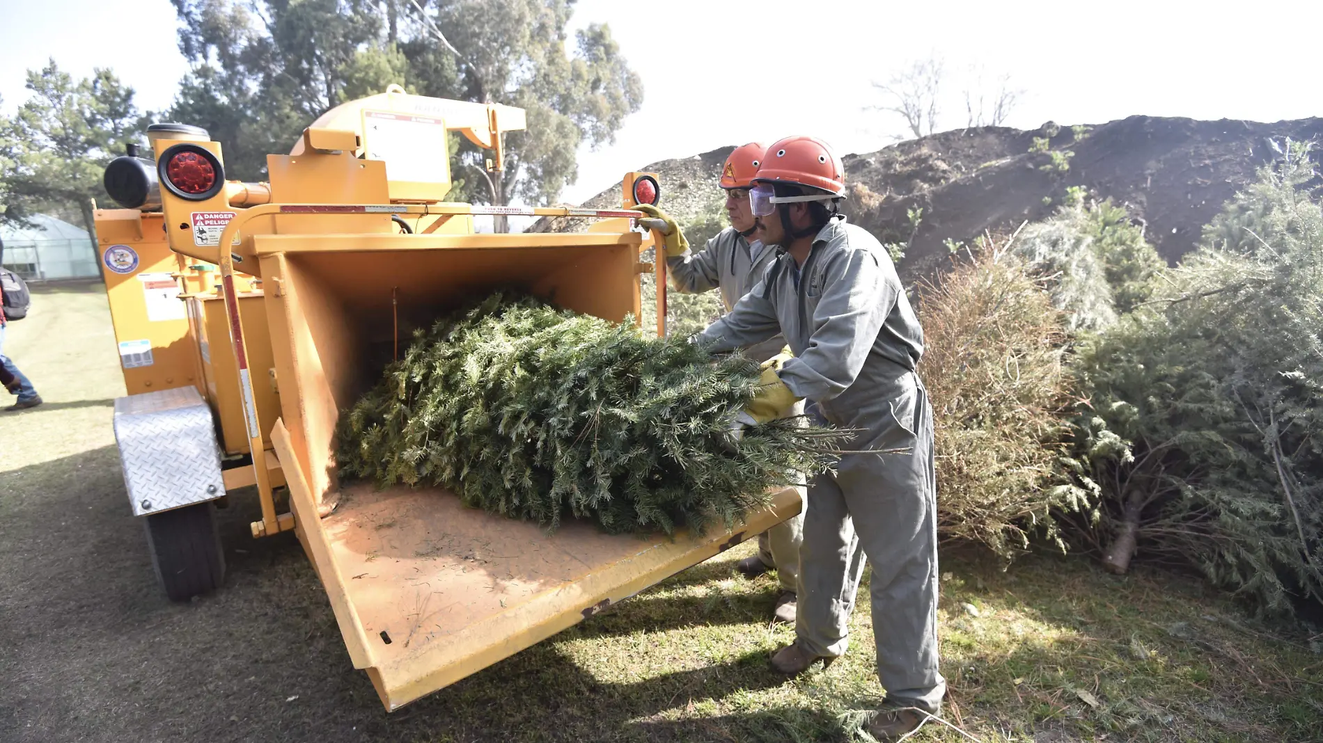 reciclaje árboles de navidad